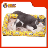 CUSHION SQUARE {S} 47CMX31CM