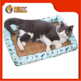CUSHION SQUARE {L} 54CMX46CM
