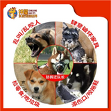 MUZZLE SIZE:1 [24X8CM]